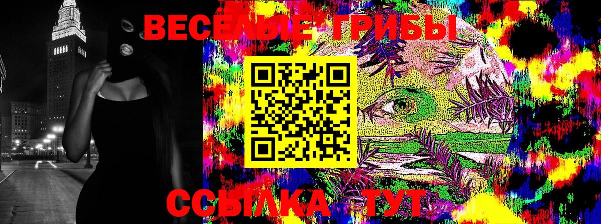 Галлюциногенные грибы Psilocybine cubensis  Вход с VPN  Трёхгорный 