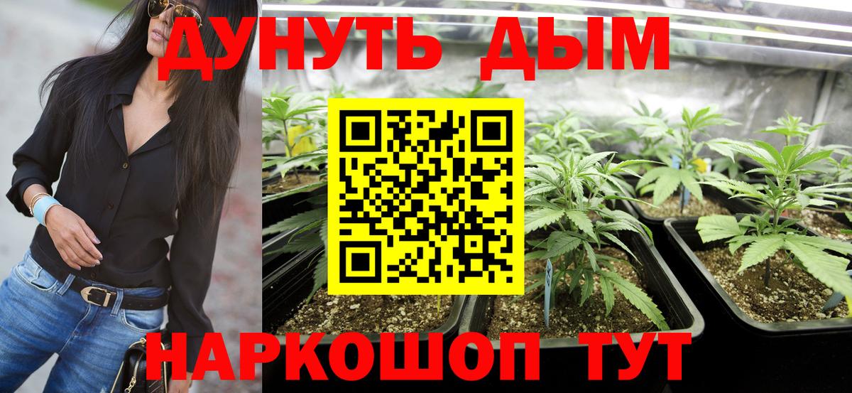 Канабис Amnesia  Вход с VPN  МАРИХУАНА гибрид  Канабис AK-47  Трёхгорный  Конопля конопля 